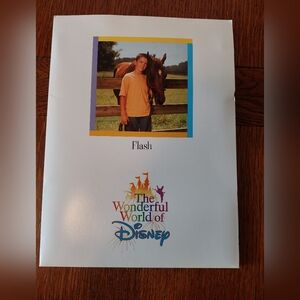 Wonderful World of Disney "Flash" Horse Movie Press Kit 4 Stills Original VTG L2